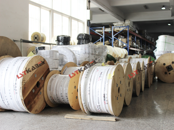 纜勝倉儲(chǔ)配送區(qū)