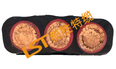 PUR扁電纜 PUR扁電纜