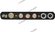 行車(chē)電纜(帶鋼絲) 行車(chē)電纜(帶鋼絲)