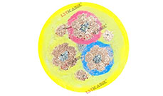 鏟運(yùn)機(jī)電纜 鏟運(yùn)機(jī)電纜